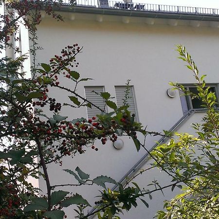 Petite Bellevue II Apartman Baden-Baden Kültér fotó