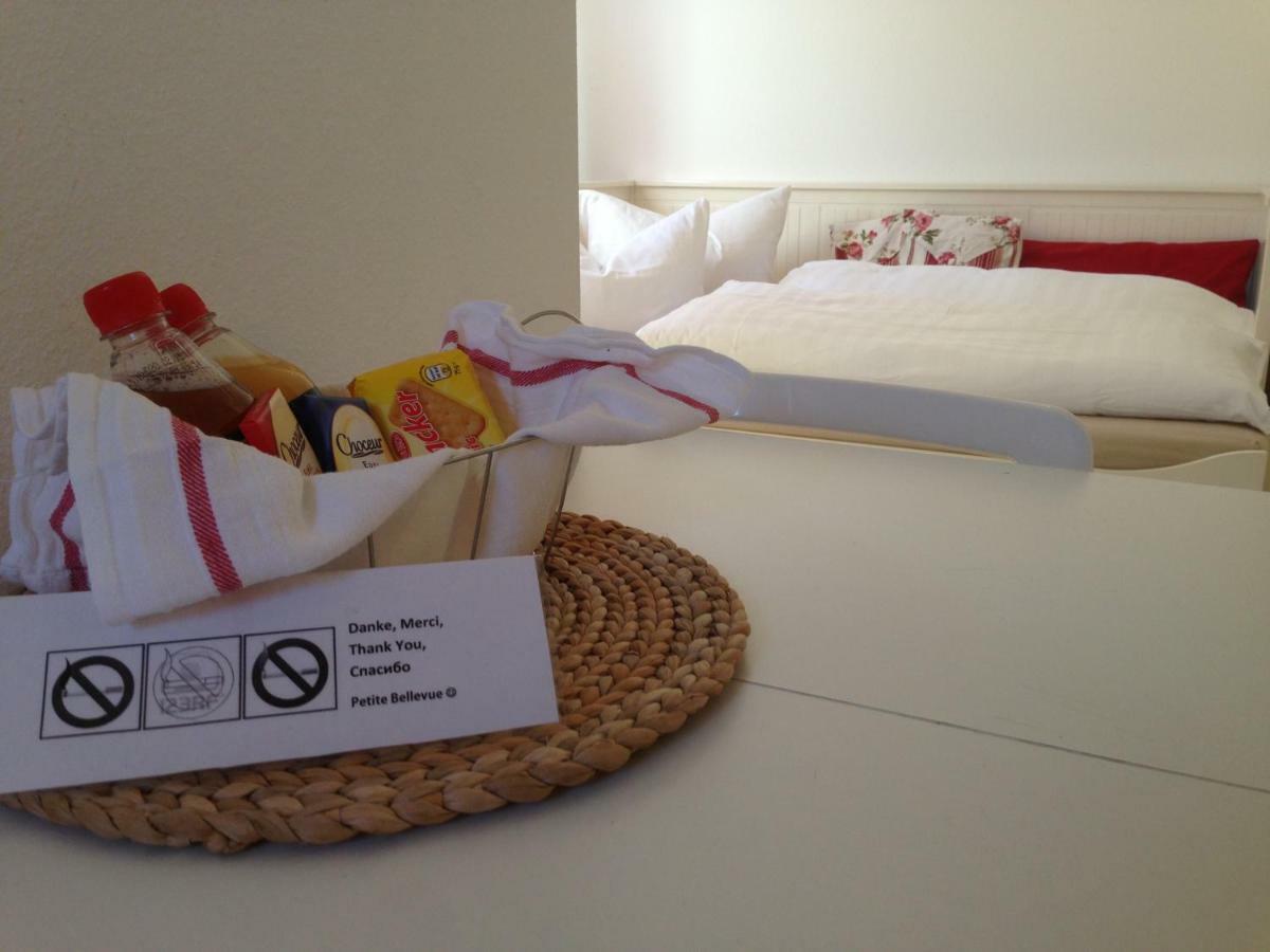 Petite Bellevue II Apartman Baden-Baden Kültér fotó