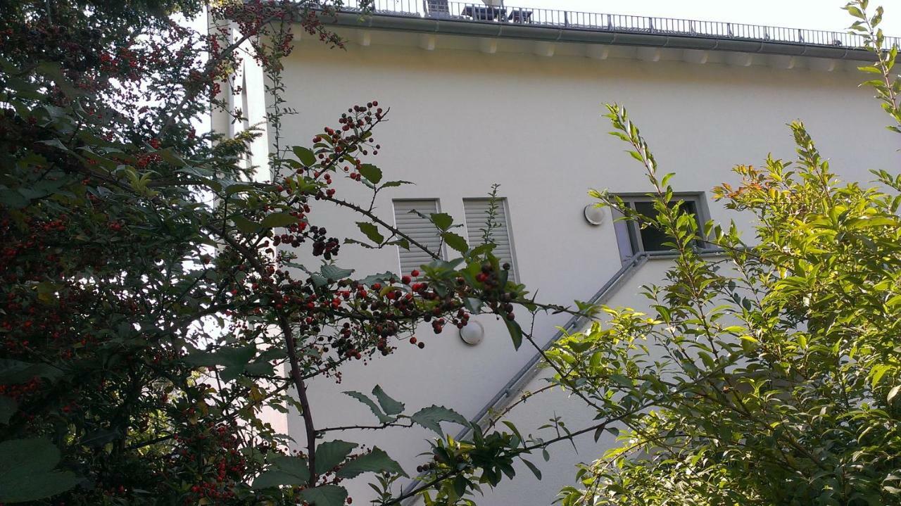 Petite Bellevue II Apartman Baden-Baden Kültér fotó